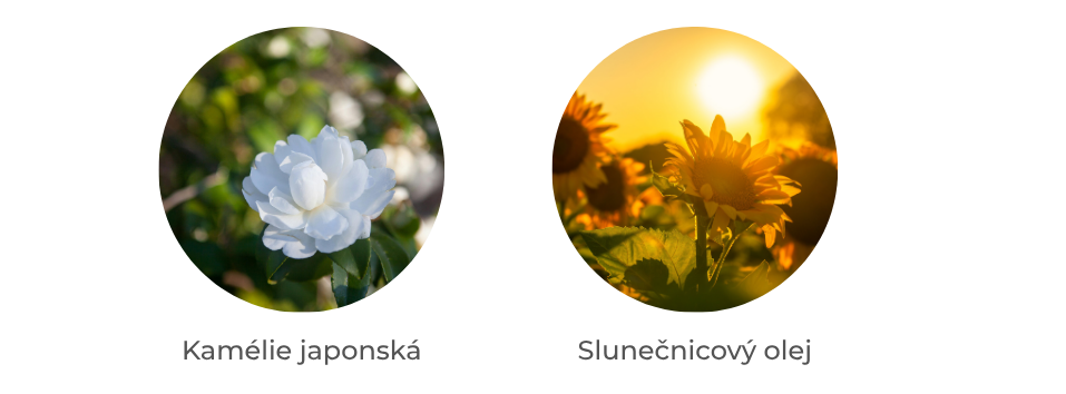 Aktivní složky – sprchový olej